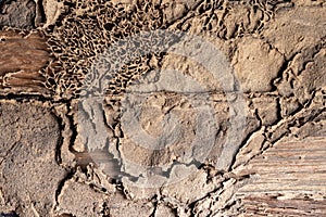 Background wall texture old wood termites, which was damaged