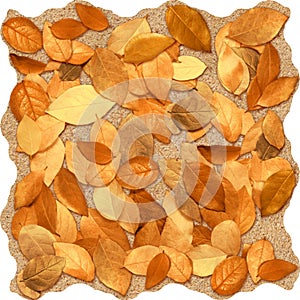 Background for wall tiles, texture photo