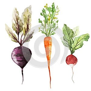 Background wallpaper texture root vegetables vegan vegetarian