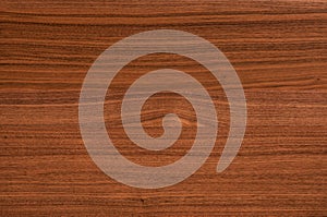 Background of Walnut wood surface