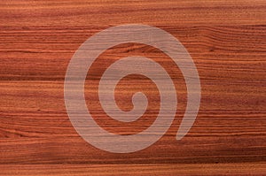 Background of Walnut wood surface