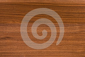 Background of Walnut wood surface