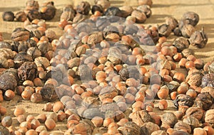 Background with walnuts and hazelnuts