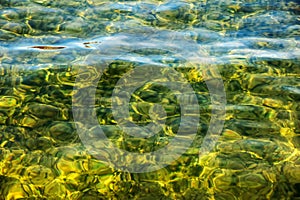 Background of the water of Lake Traunsee in the coastal area. Colorful texture of stones under water