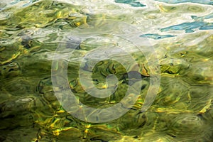 Background of the water of Lake Traunsee in the coastal area. Colorful texture of stones under water