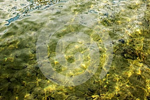 Background of the water of Lake Traunsee in the coastal area. Colorful texture of stones under water