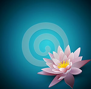 background with a water lily