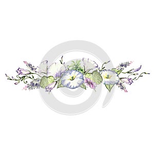Background with watercolor drawing wild flowers, round floral frame, wreath with painted field plants, herbal border