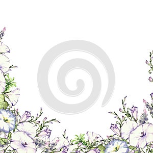 Background with watercolor drawing wild flowers, round floral frame, wreath with painted field plants, herbal border