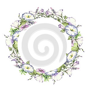 Background with watercolor drawing wild flowers, round floral frame, wreath with painted field plants, herbal border,botanical ill