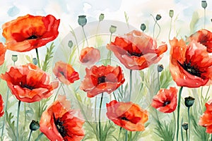 Flowers nature green floral art background illustration summer poppy spring red watercolor