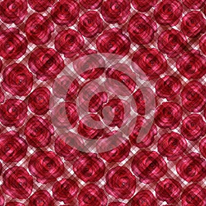 Background with watercolor red roses on red stripes plaid seamless pattern