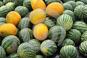 Background of watermelons and cantaloupes