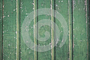 Background of weathered green wood