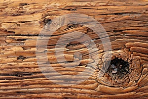 Background of Weathered Wood with Knot