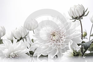 background wedding blossom white spring floral celebration art nature beautiful flower. Generative AI.