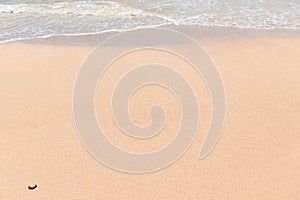 Background wet sand on the beach and sea wave