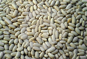 background of white alubia beans. Source of protein and fiber photo