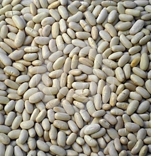 background of white alubia beans. Source of protein and fiber photo