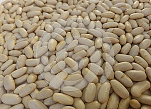 background of white alubia beans. Source of protein and fiber. photo