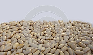 background of white alubia beans. Source of protein and fiber. photo