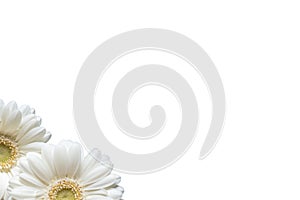 A background with a white bergera