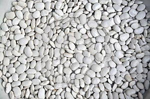 Background of white dry beans