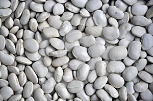 Background of white dry beans