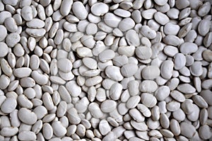 Background of white dry beans