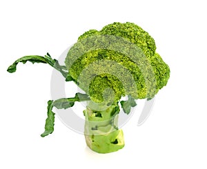 Background white isolated broccoli brocolli diet vegetable raw organic nature vegetables stem fresh health object food vegetari