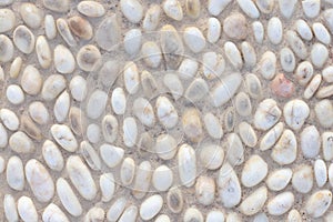 background of white pebbles and a beige sand. Rustic style
