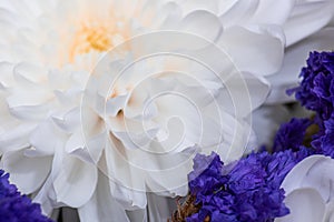 Background with white and purple flowers