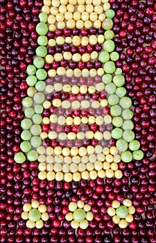 Background of white and red cherries