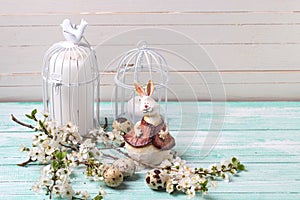 Background with white spring flowering branches of trees, quail