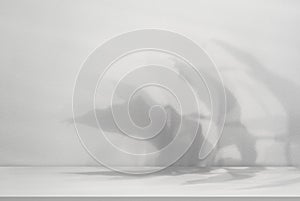 Background White Wall Studio with Shadow Leaves,light on Cement Desk Surface Texture,Empty Grey Kitchen Room with Podium Top Shelf