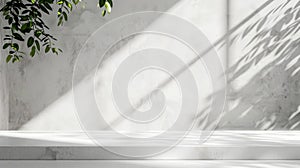 Background White Wall Studio with Shadow Leaves, light cement floor texture background, Empty Kitchen Room with Podium