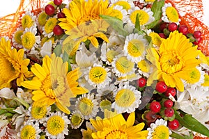 Background of white and yellow chrysanthemums