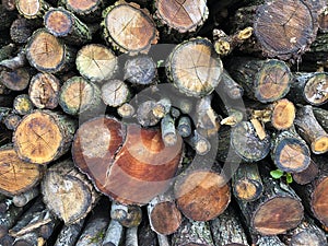 Background wiht stacked firewoods