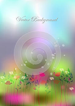 Background wild flowers and butterflies.vector illustration