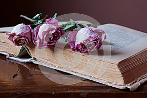 Background with wither roses on an old book