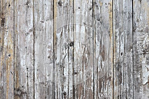 Background of wood.