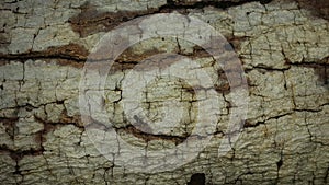 Background wood grain patterns