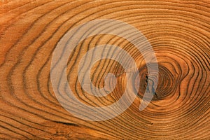 Background of wood texture, close-up. beautiful cut of tree.