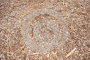 Background - woodchip bark chip