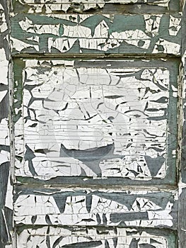 Background from a wooden board covered with peeling paint from time to time. Numerous cracks and exfoliation are visible