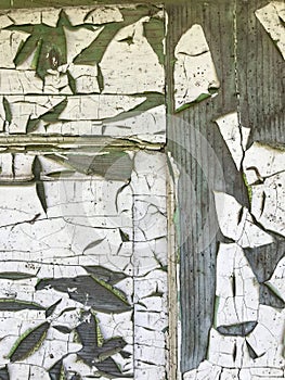 Background from a wooden board covered with peeling paint from time to time. Numerous cracks and exfoliation are visible