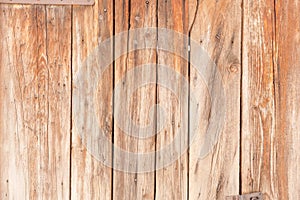 Background of wooden boards, design element