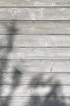 Background of wooden boards with the shadow of branches