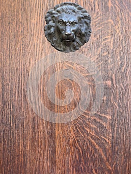 Background of a wooden door with a bulging lion head