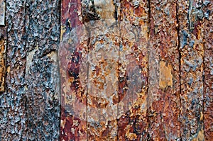 Background of wooden fence made of peeled pine trunks,